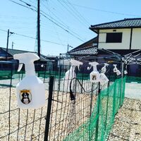 画像1489