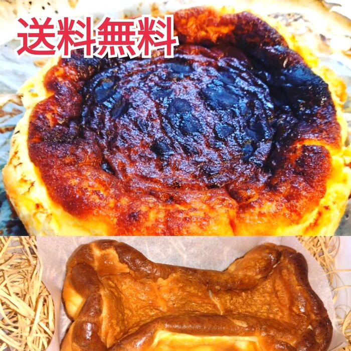 画像1576