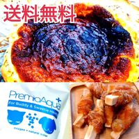 画像1578