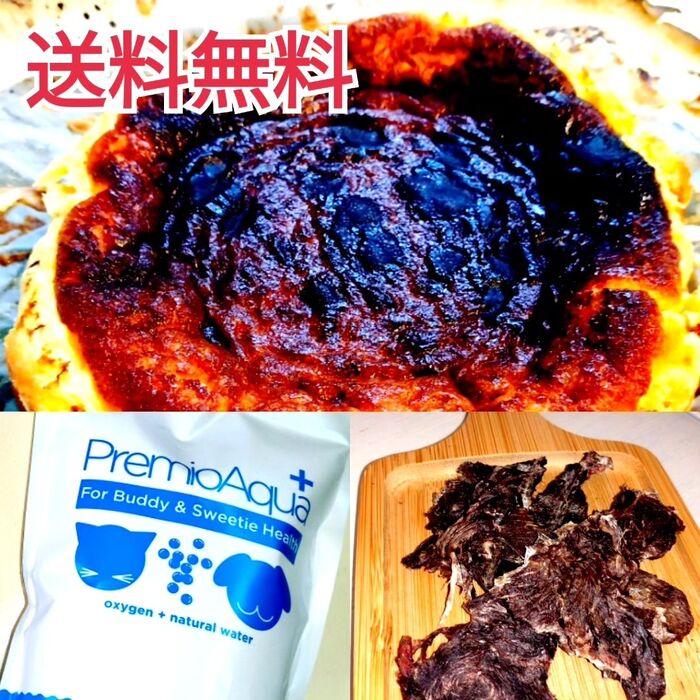 画像1579