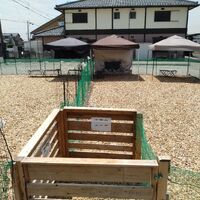 画像1638