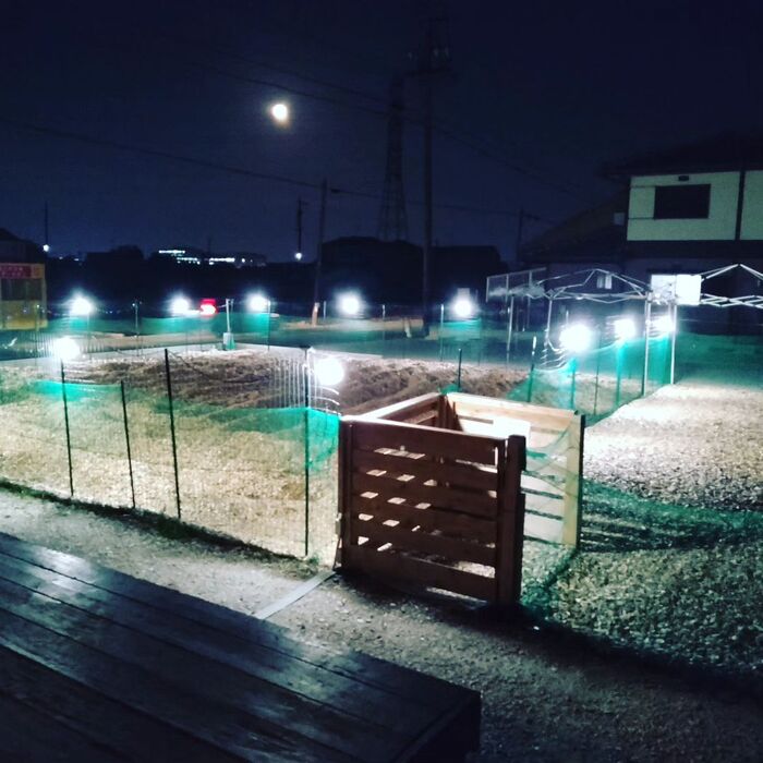 画像1696