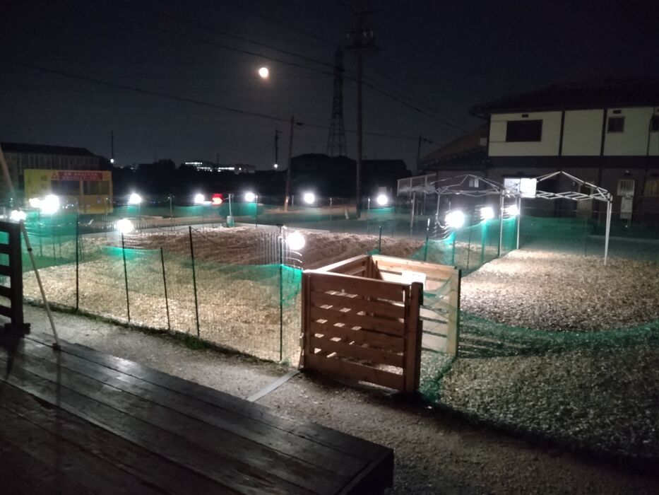 画像1699
