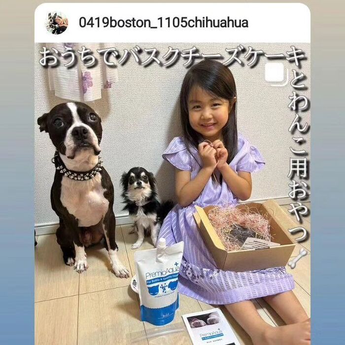 画像1736