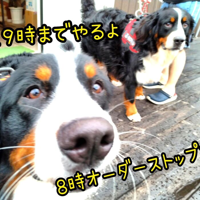 画像1739