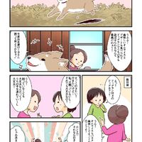 画像2052