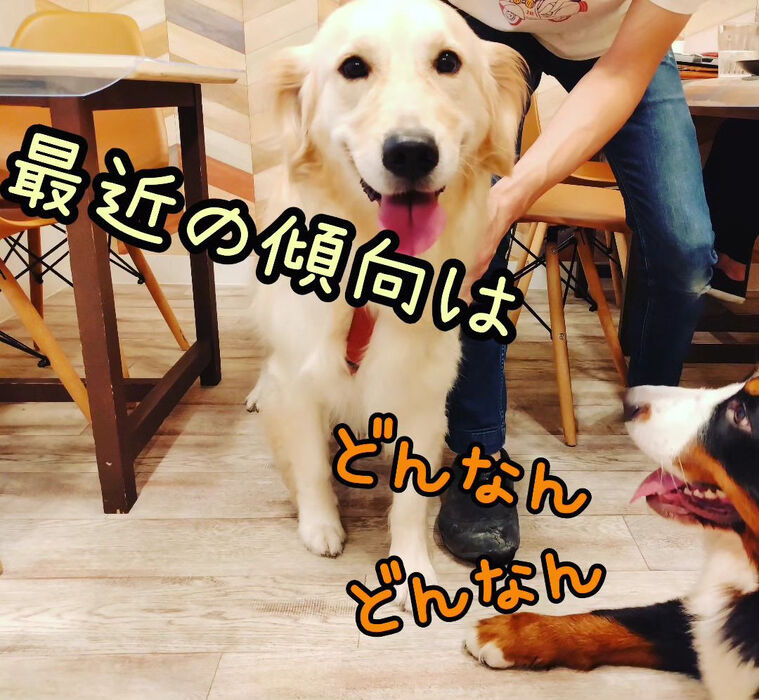 画像2137