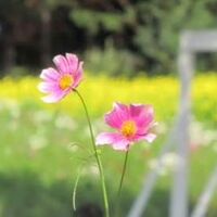 画像2203