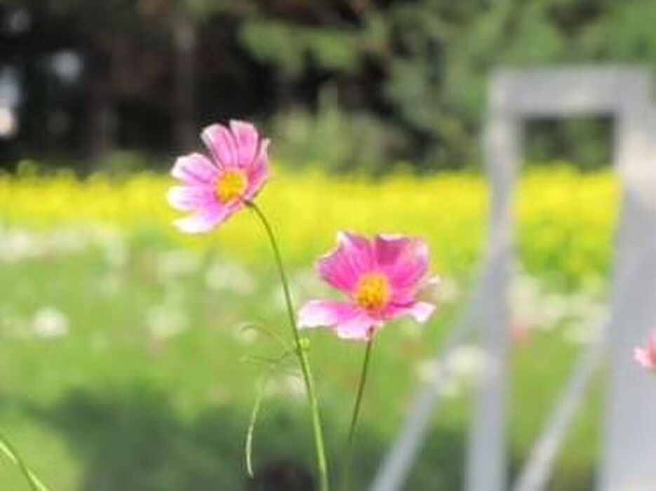 画像2203