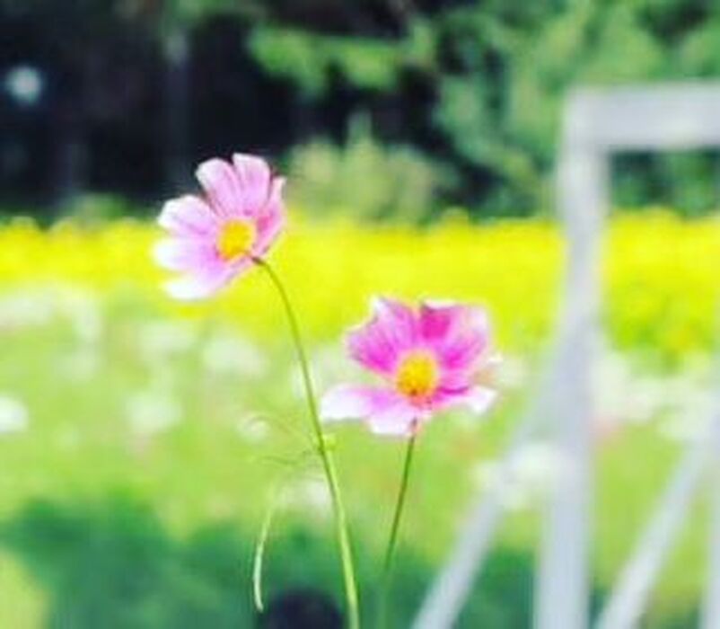 画像2208