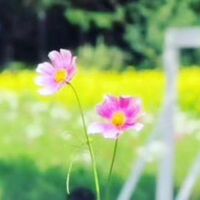 画像2240
