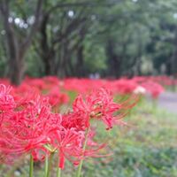 画像2242