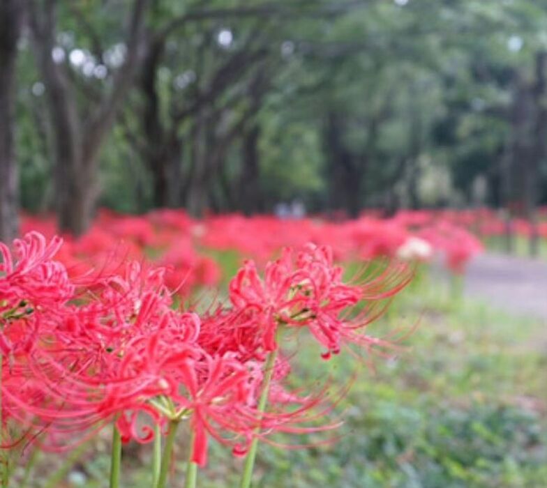 画像2242