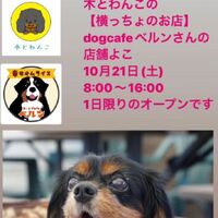 画像2271