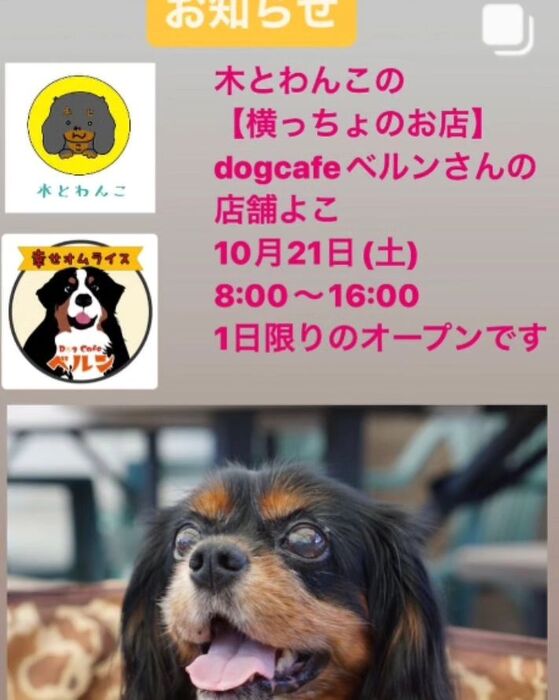 画像2271