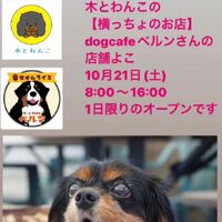 画像2287