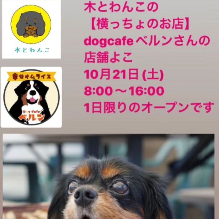 画像2287