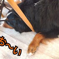 画像2323
