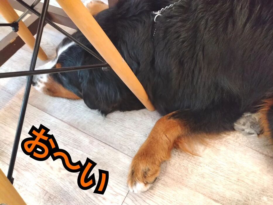 画像2323