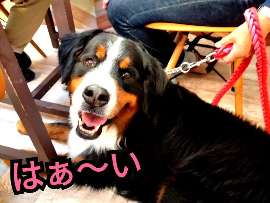 画像2324