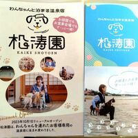 画像2396