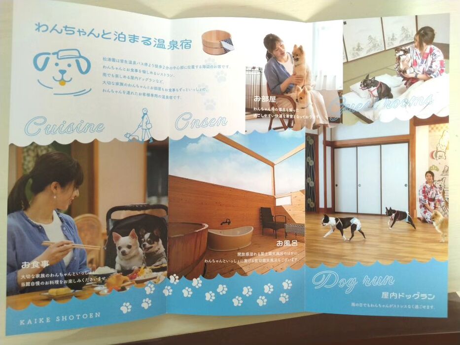画像2399