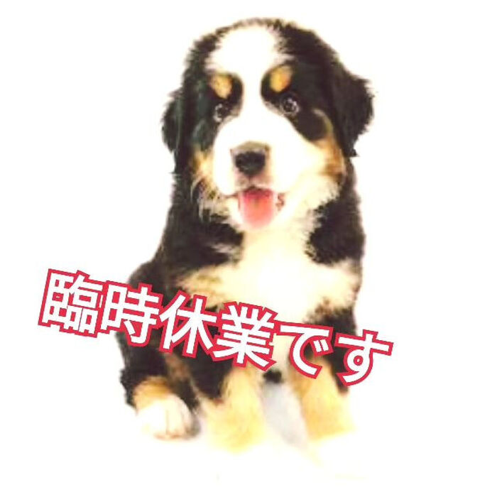 画像2401