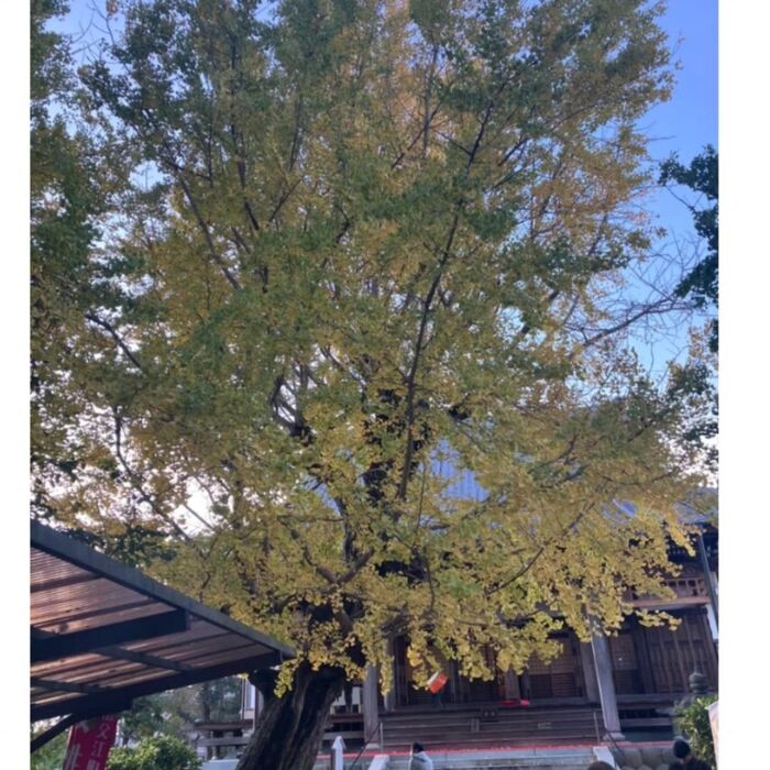 画像2409
