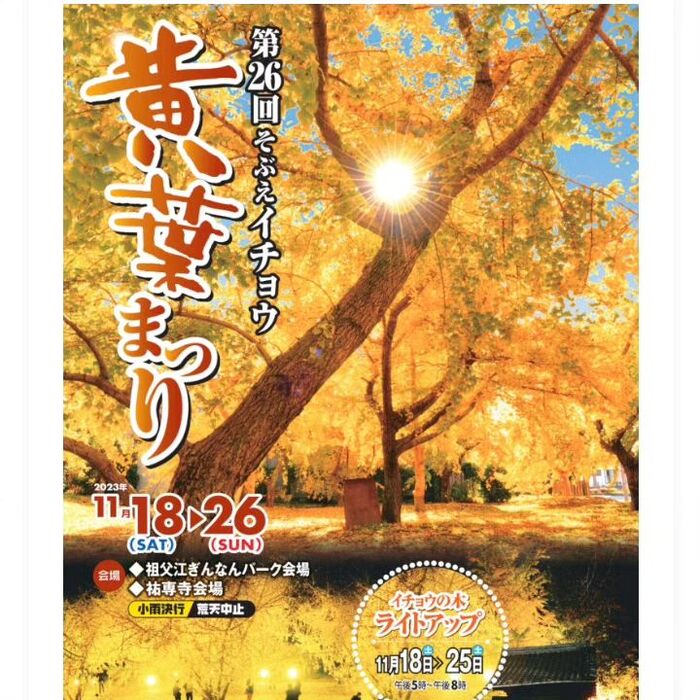 画像2410