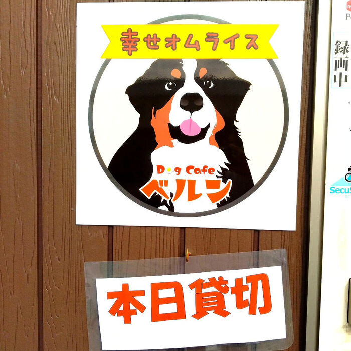 画像2427